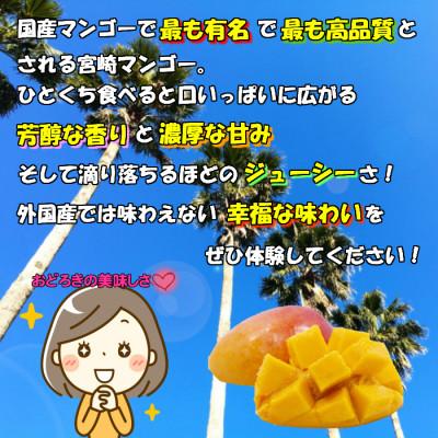 ふるさと納税 宮崎市 完熟!宮崎マンゴー【特秀、大玉4Lサイズ約600g】1玉化粧箱入り |  | 01