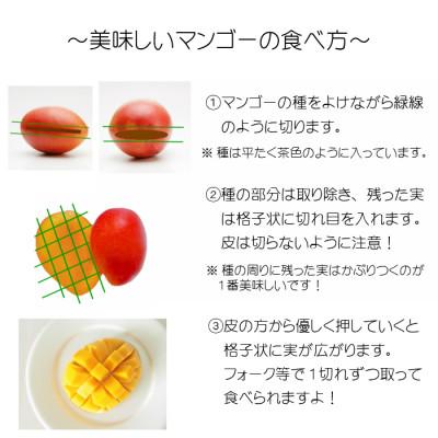 ふるさと納税 宮崎市 完熟!宮崎マンゴー【特秀、大玉4Lサイズ約600g】1玉化粧箱入り |  | 03