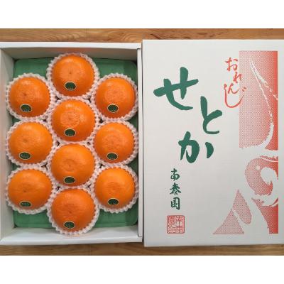 ふるさと納税 有田川町 『柑橘の大トロ』ハウスせとか厳選10玉入 和歌山県有田川町産