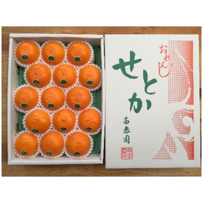ふるさと納税 有田川町 『柑橘の大トロ』ハウスせとか厳選15玉入 和歌山県有田川町産