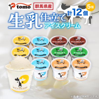 ふるさと納税 太田市 群馬県太田市　生乳仕立てアイスクリーム 12個セット | 