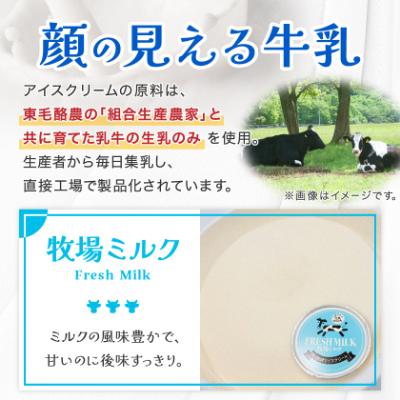 ふるさと納税 太田市 群馬県太田市　生乳仕立てアイスクリーム 12個セット |  | 01
