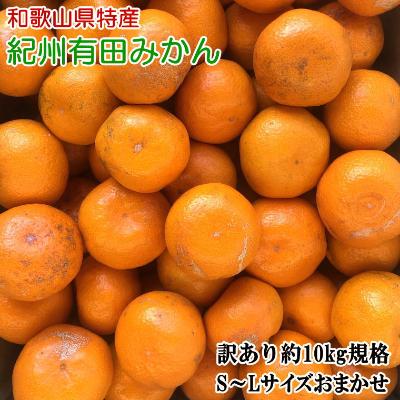 ふるさと納税 有田川町 [訳あり]紀州有田みかん約10kg(S〜Lサイズいずれかお届け)[有田川町]