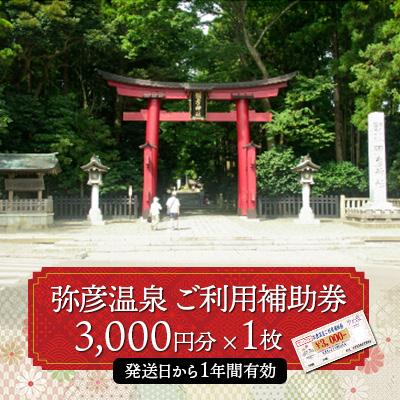 ふるさと納税 弥彦村 弥彦温泉ご利用補助券 3,000円分