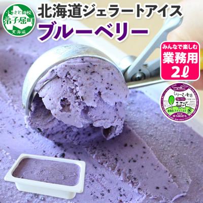 ふるさと納税 弟子屈町 [北海道]業務用 アイスクリーム ブルーベリー 2L 手作り ジェラート 604