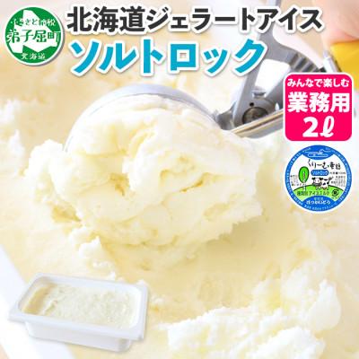 ふるさと納税 弟子屈町 [北海道]業務用 アイスクリーム ソルトロック 2L 手作り ジェラート 613