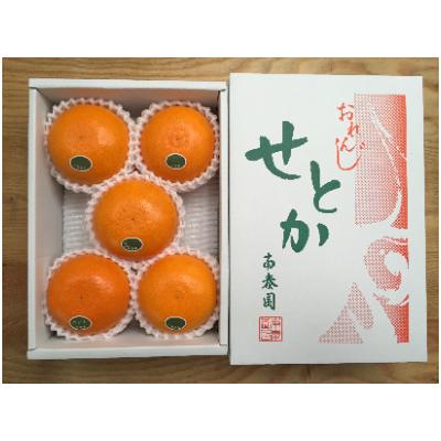 ふるさと納税 有田川町 ハーフ化粧箱『柑橘の大トロ』ハウスせとか厳選5玉入 和歌山県有田川町産