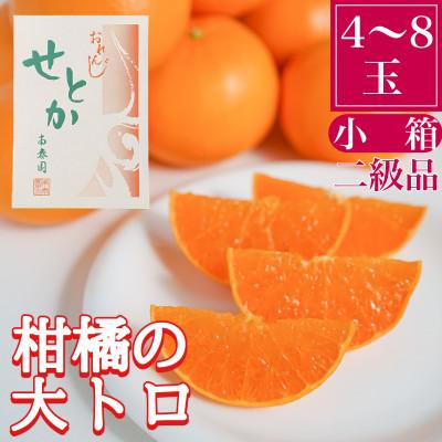 ふるさと納税 有田川町 ハーフ化粧箱 傷あり『柑橘の大トロ』ハウスせとか4〜8玉入 和歌山県有田川町産