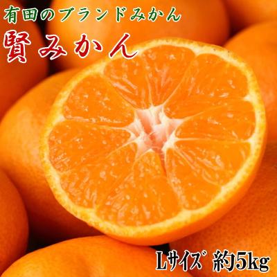 ふるさと納税 有田川町 有田ブランド「賢みかん」約5kg(Lサイズ・秀品)