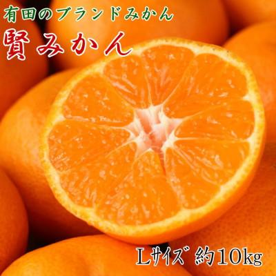 ふるさと納税 有田川町 [秀品]和歌山有田ブランド「賢みかん」約10kg(Lサイズ)