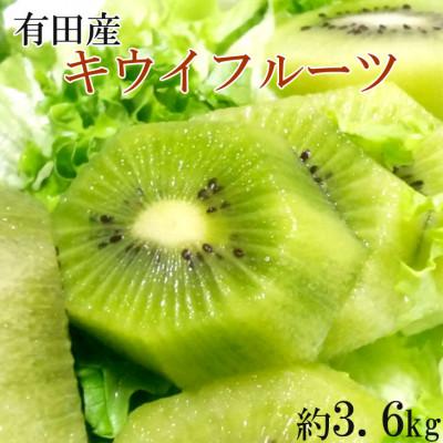 ふるさと納税 有田川町 [1月より順次発送]有田でとれた新鮮キウイフルーツ約3.6kg(M〜3Lサイズおまかせ)[有田川町]