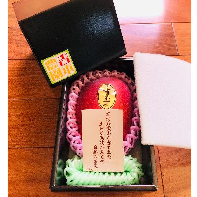 ふるさと納税 和歌山市 紀州完熟マンゴー『吉玉』 3Lサイズ1玉(約400g)