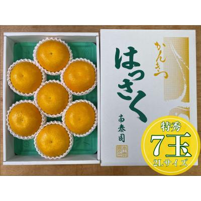 ふるさと納税 有田川町 手詰め有田はっさく大玉2L×7玉入 和歌山県有田川町産