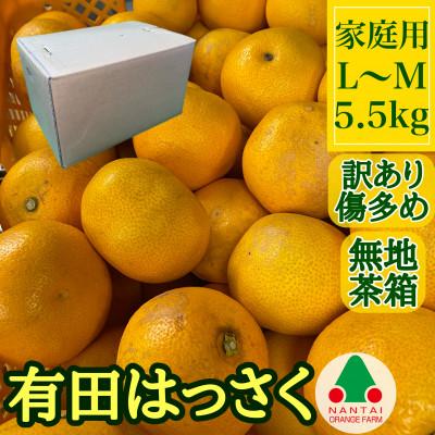 ふるさと納税 有田川町 訳あり傷多め手詰め有田はっさくLまたはM×5.5kg 和歌山県有田川町産