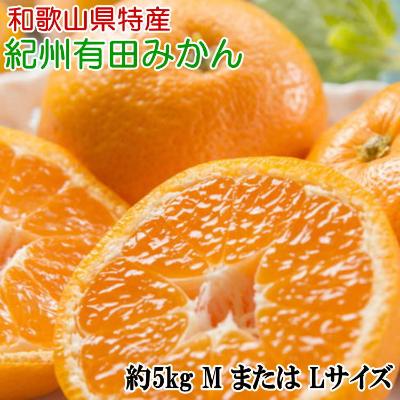 ふるさと納税 有田川町 [秀品]紀州有田みかん約5kg(MまたはLサイズのいずれかをお届け)[有田川町]