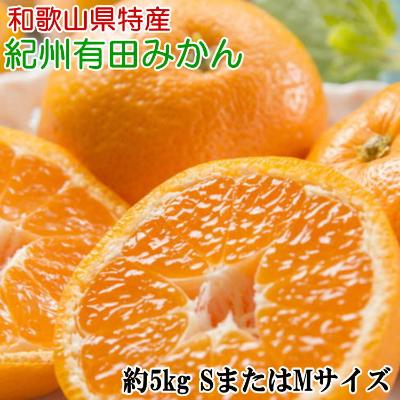 ふるさと納税 有田川町 [秀品]紀州有田みかん約5kg(SまたはMサイズのいずれかをお届け)[有田川町]