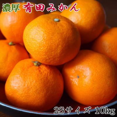 ふるさと納税 有田川町 紀州有田みかん約10kg(2Sサイズ・秀品)「2025年11月中旬より順次発送」[有田川町]
