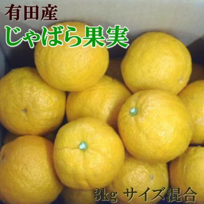 ふるさと納税 有田川町 [厳選・希少]和歌山産のじゃばら果実約3kg[有田川町]