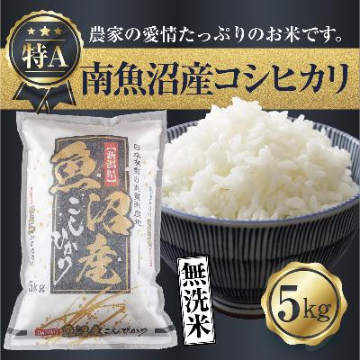 ふるさと納税 南魚沼市 [無洗米] 新潟県 南魚沼産 コシヒカリ お米 5kg 精米済み(お米の美味しい炊き方ガイド付き)