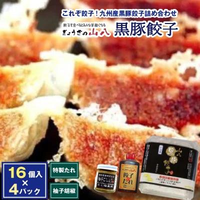 ふるさと納税 福津市 これぞ餃子!九州産黒豚餃子詰め合わせ(福津の極み認定製品)&amp;自家製柚子胡椒[F3211s]
