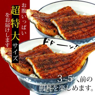 ふるさと納税 西尾市 三河産　超特大うなぎ「蒲焼冷凍×2尾」・A090-15-1 |  | 01