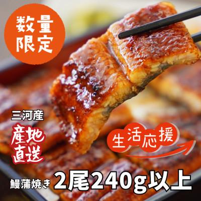 ふるさと納税 西尾市 生産者「愛知養魚」がお届けする三河産うなぎ「蒲焼冷凍2尾」(合計240g〜250g)・A092-12