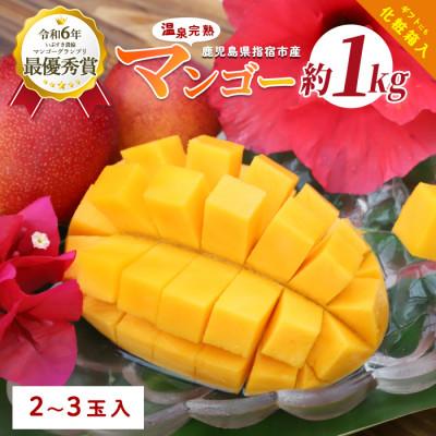 ふるさと納税 指宿市 [2026年発送 先行予約]鹿児島県いぶすき産 温泉完熟マンゴー約1kg(IB057-003)