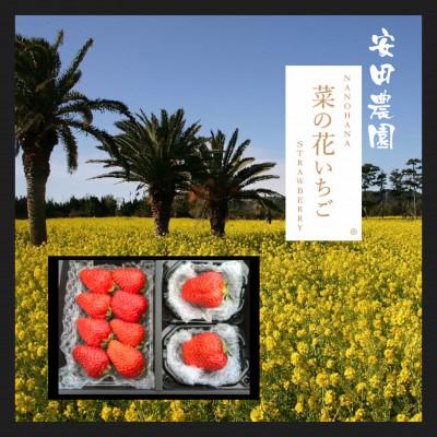 ふるさと納税 田原市 菜の花いちご 1パック(6〜8粒入)・大粒2玉