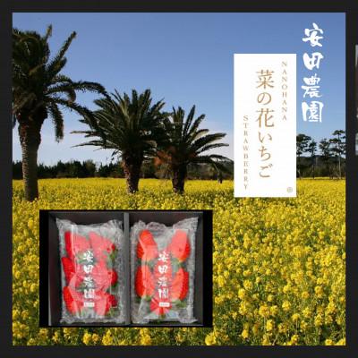 ふるさと納税 田原市 菜の花いちご 6〜8粒入 4パック