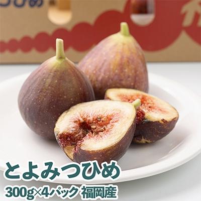 ふるさと納税 朝倉市 [先行受付]福岡限定!ブランドいちじく「とよみつひめ」約300g×4パック(朝倉市)