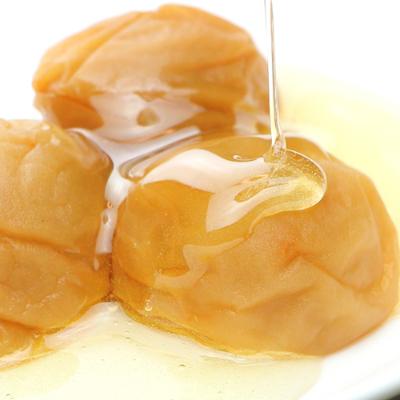 ふるさと納税 有田川町 紀州の梅干 有田みかん蜂蜜梅(紀州南高梅/500g)化粧箱入り 塩分8%
