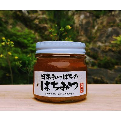 ふるさと納税 唐津市 日本ミツバチの純粋はちみつ 240g