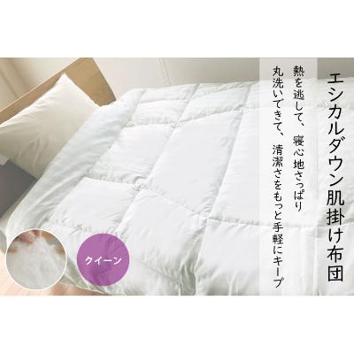 ふるさと納税 福山市 洗える ホコリが出にくい『肌掛け布団』[クイーン]