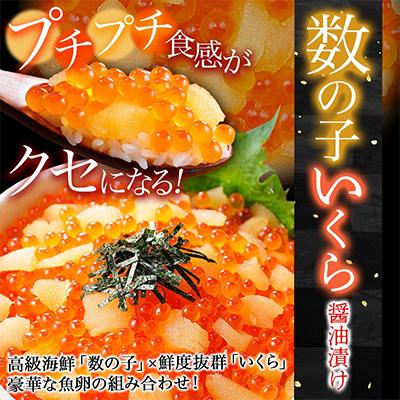 ふるさと納税 弟子屈町 数の子・いくら醤油漬け 計400g 魚卵づくし 北海道 弟子屈町 3574 |  | 01