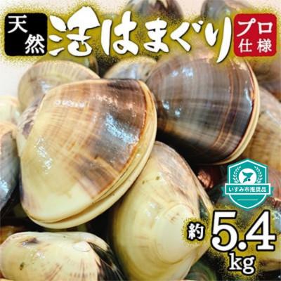 ふるさと納税 いすみ市 プロも認める活はまぐり 国産 天然 約5.4kg 千葉県 九十九里産 | 