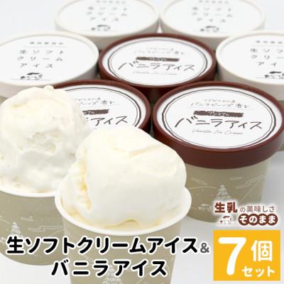 ふるさと納税 根羽村 食べ比べ!生ソフトクリームアイス&amp;バニラアイスクリーム 7個セット 搾りたて生乳
