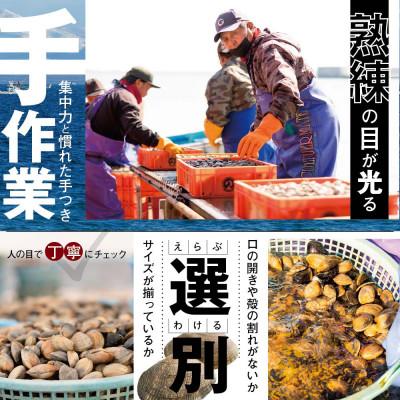 ふるさと納税 別海町 大粒 天然 あさり 貝 5kg前後 (140〜260粒) 北海道 砂出し済み 希少な国産 大アサリ |  | 02