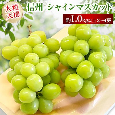 ふるさと納税 長野市 [2026年先行受付]長野市産シャインマスカット 約1.0kg以上