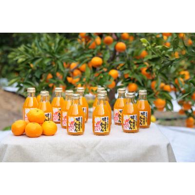 ふるさと納税 美浜町 蜂久農園のみかんがっつりしぼったでぇ180ml×12本[美浜町]