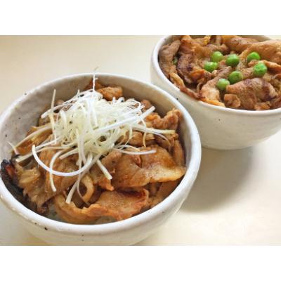 ふるさと納税 花巻市 白金豚(プラチナポーク)特製たれ漬け 500g(250g×2パック)