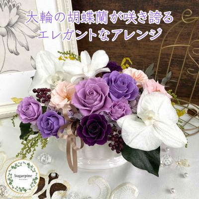 ふるさと納税 春日部市 プリザーブドフラワーアレンジ[ルクール/パープル]春日部市 シュガーパイン