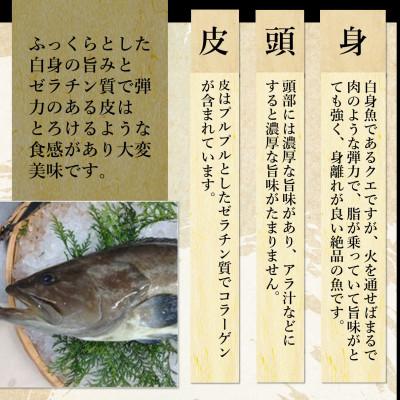 ふるさと納税 松浦市 鷹島のうまかクエ鍋用　2〜3人前 |  | 02