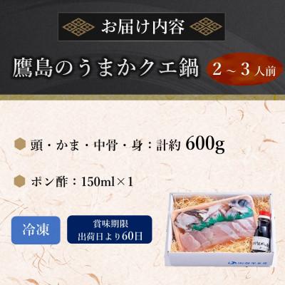 ふるさと納税 松浦市 鷹島のうまかクエ鍋用　2〜3人前 |  | 03
