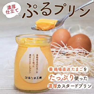 ふるさと納税 松浦市 たまごやさんのぷるプリン6個入(濃厚仕立て)