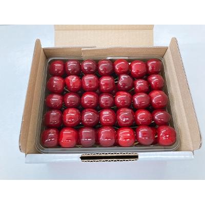 ふるさと納税 新庄市 [季節限定]新庄産さくらんぼ「紅さやか」500g箱(バラ詰め)
