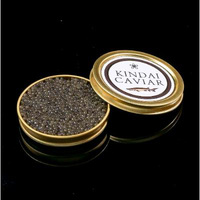 ふるさと納税 由良町 近大キャビア30g