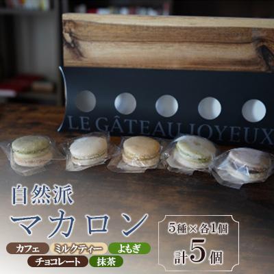 ふるさと納税 防府市 自然派マカロン 5個セット
