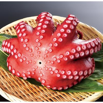 ふるさと納税 白糠町 北海道旨味たこ (1.0kg以上×1杯) たこブツも