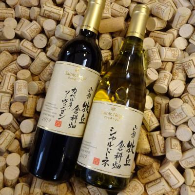 ふるさと納税 山梨市 [限定100セット]ワイン 山梨牧丘倉科畑シャルドネ カベルネ・ソーヴィニヨン 赤白ワイン2本セット