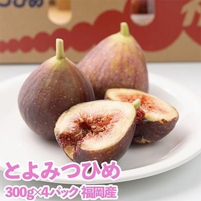 ふるさと納税 篠栗町 [先行受付]福岡限定!ブランドいちじく「とよみつひめ」約300g×4パック(篠栗町)